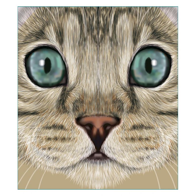 Chat léopard