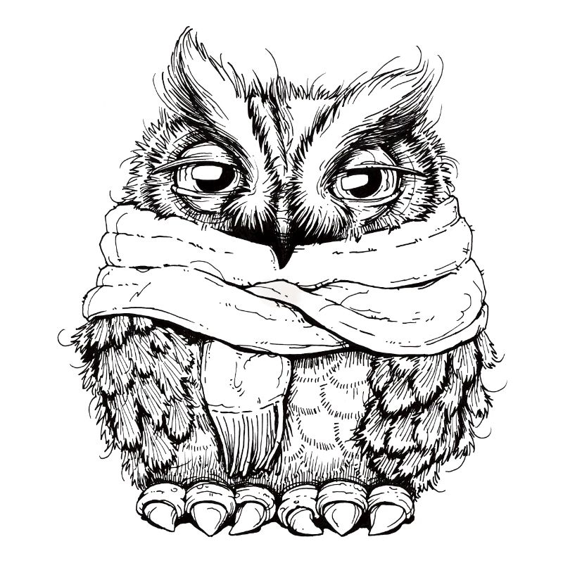 Freezing Owl