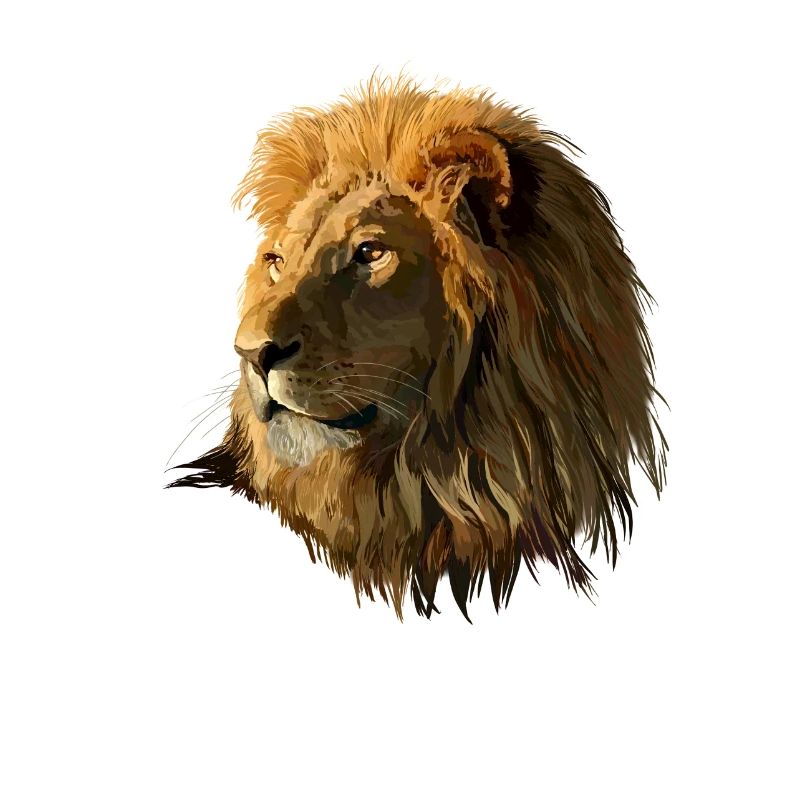 Löwe