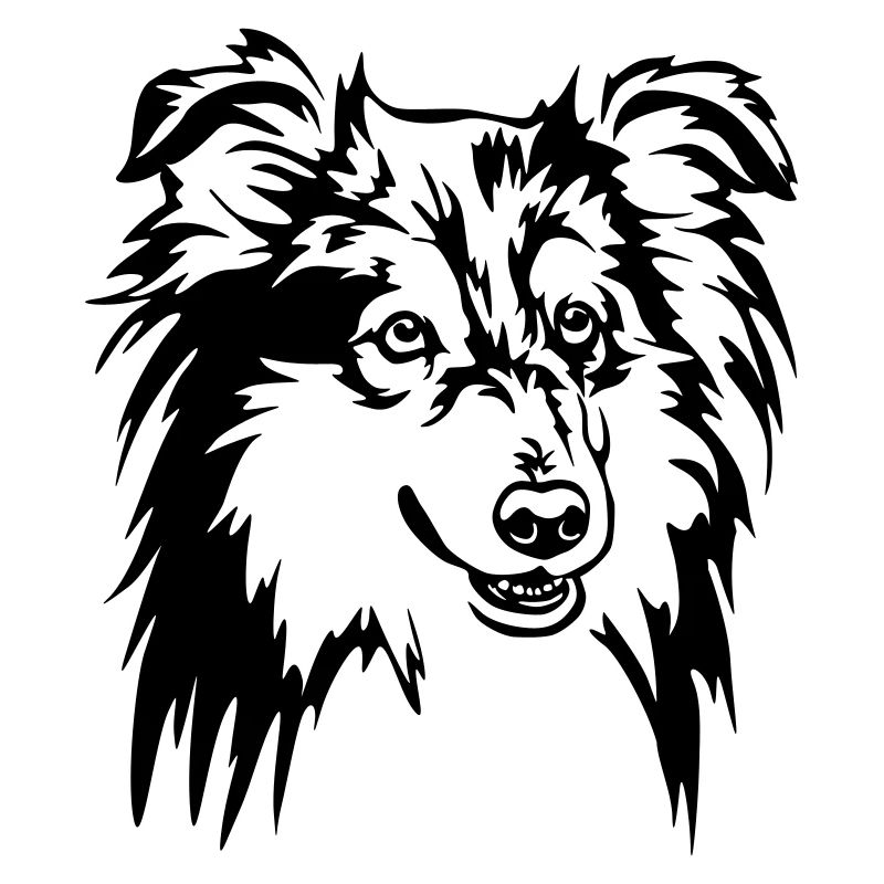 Tête de Sheltie