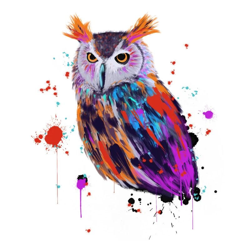 Hibou aquarelle
