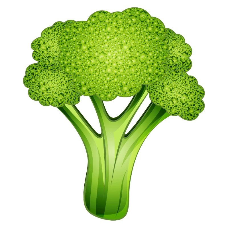 Brocoli vert vif dans un style bande dessinée élégant