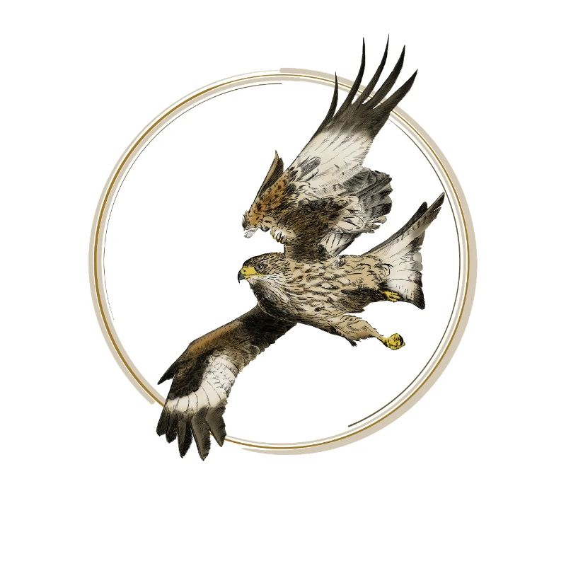 Falcon
