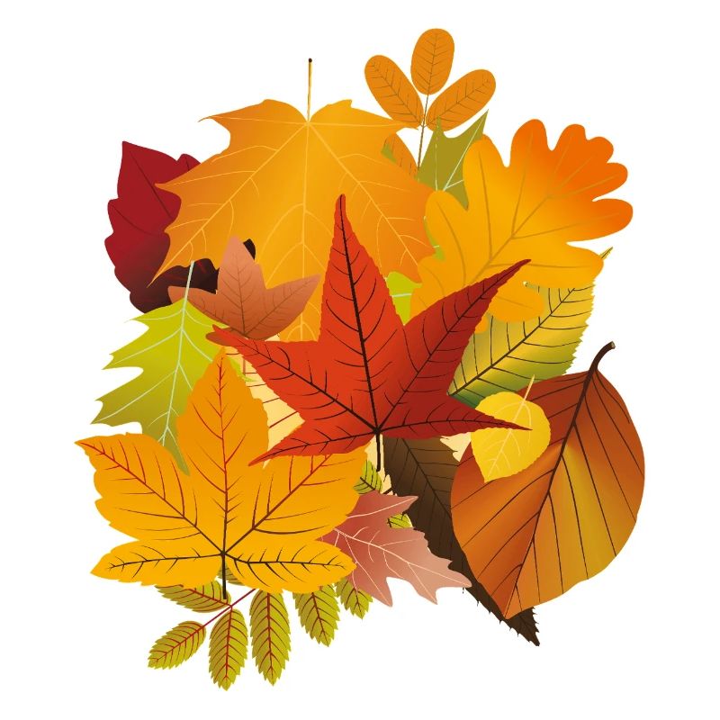 Autumn Fall Leaves