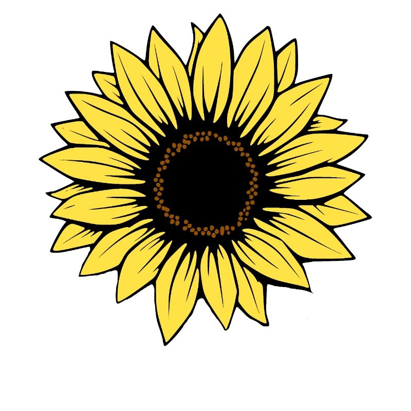 Fleur Fleur Jaune Fleurs Fleur Tournesol Fleur