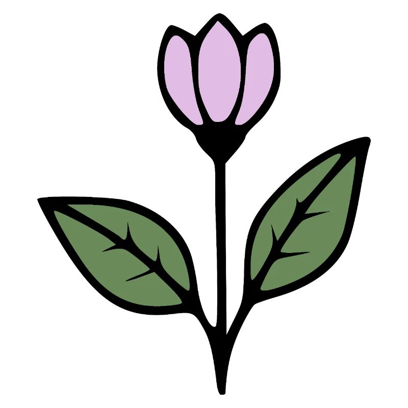  Blume Tulpe Blumen Blüte Geschenkidee Mutter 