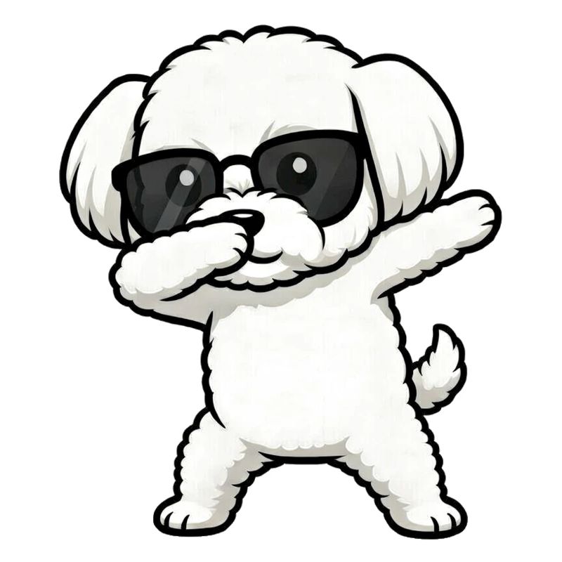 Dabbing Maltese