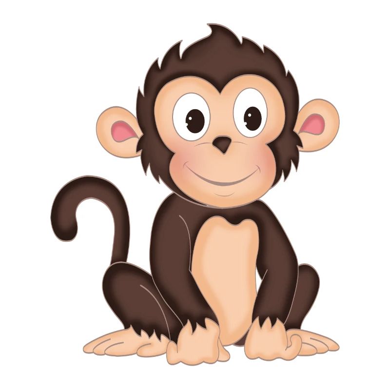 Monkey - cute monkey - design