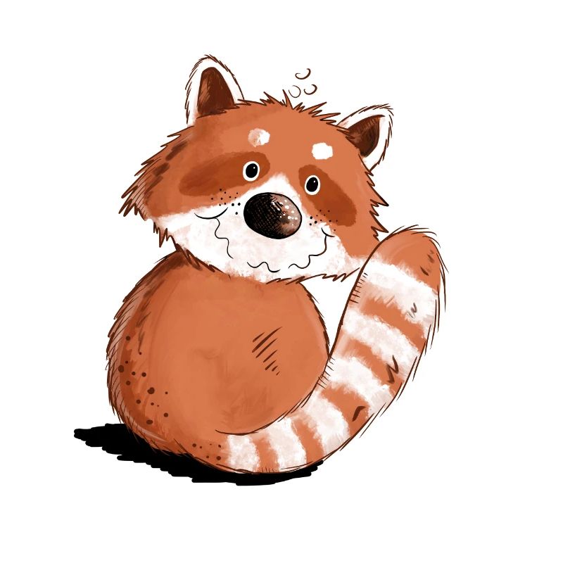 Droll Red Panda I Faune
