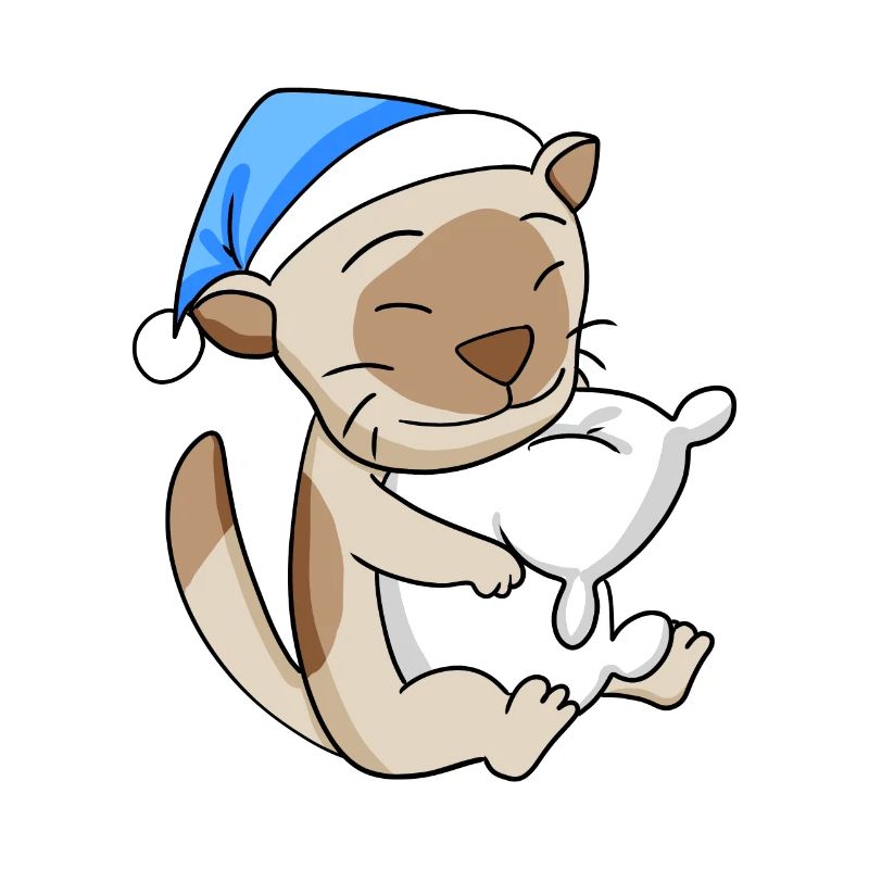 Chat Cat Race Chat Birman