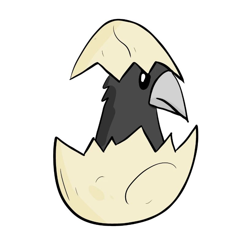 Bébé corbeau
