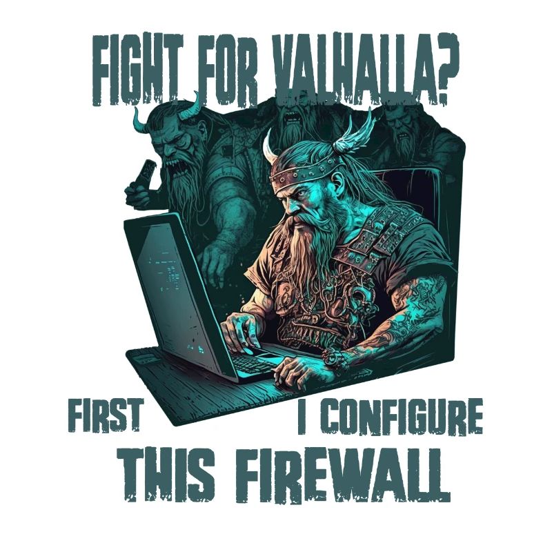 Firewall first Wikinger programmierer