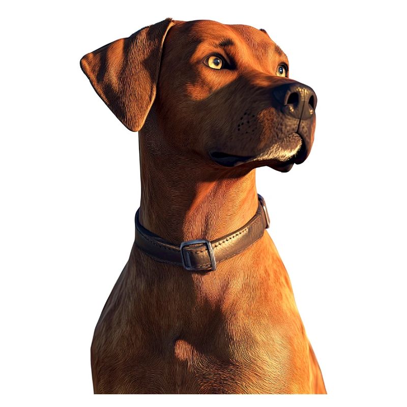 Rhodesian Ridgeback Chien de chasse Chiens Pride Ridgeback