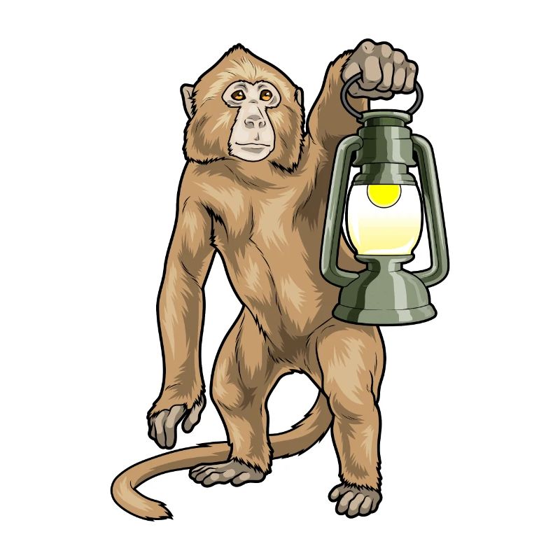 Lanterne Singe