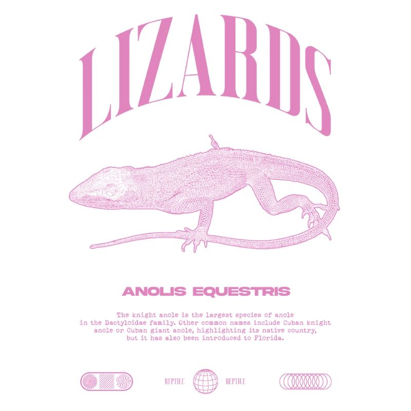 Cuban Knight Anole Reptile Keeper Lizard