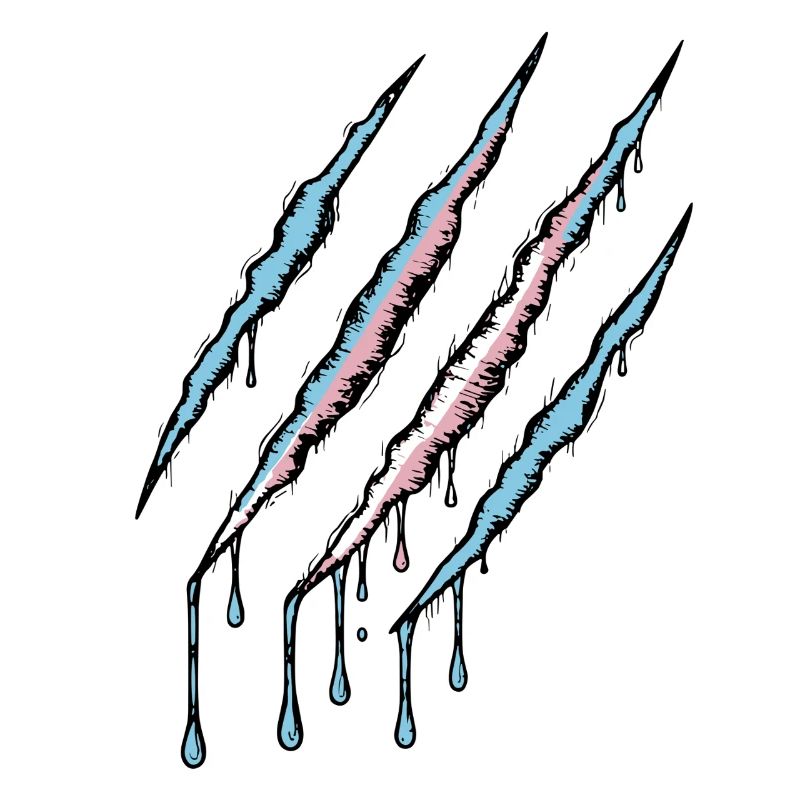 Griffe de fierté transgenre - Drapeau Trans Scratch Trace