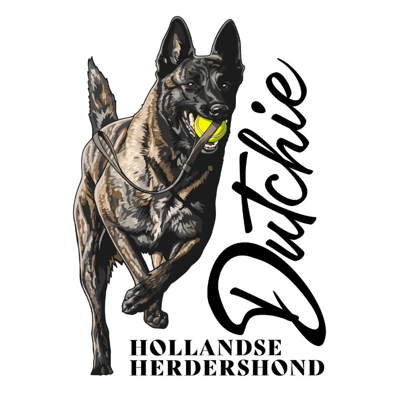 Dutch Shepherd - Dutchie 