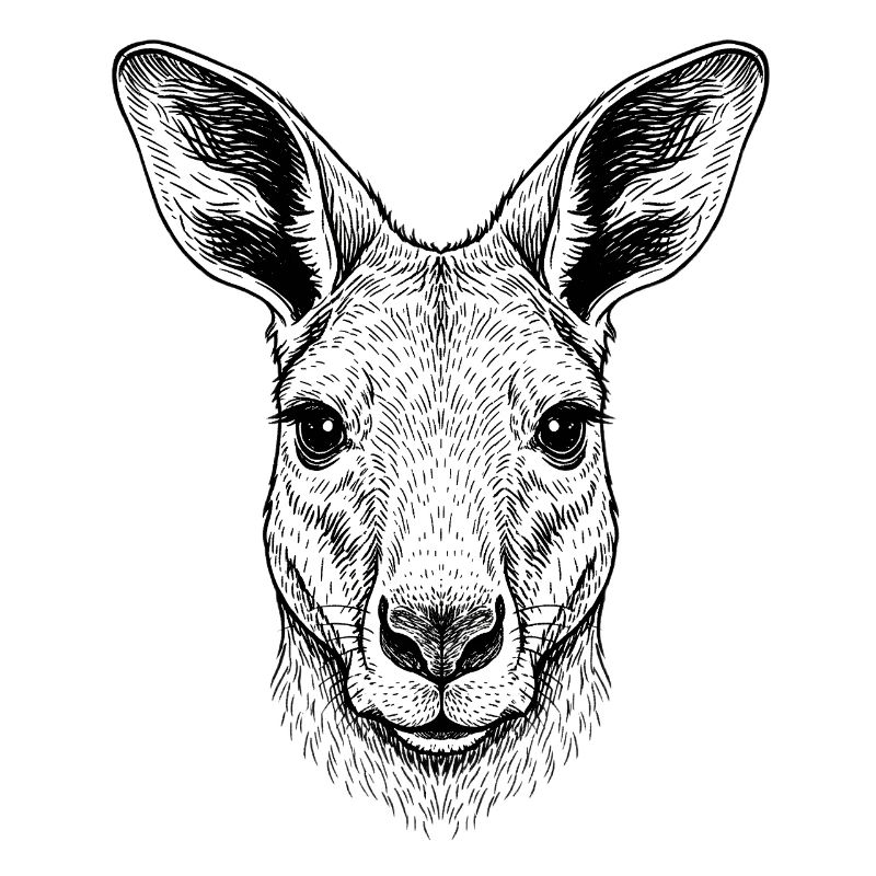 Känguru