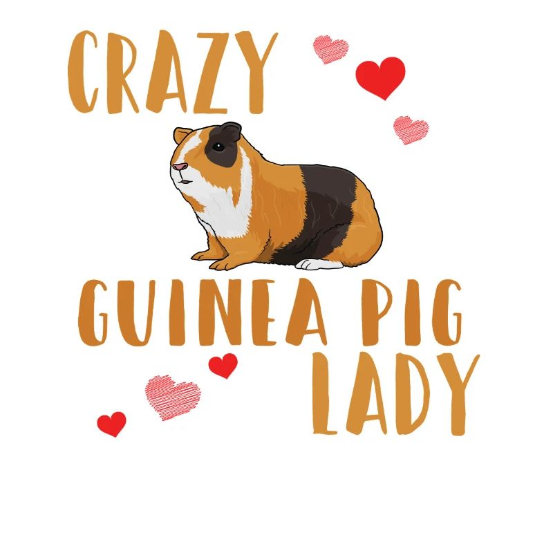 La folle cochon d’Inde