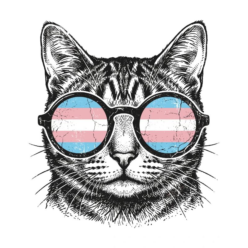 LGBT-Pride-Monat – Trans-Pride-Katze