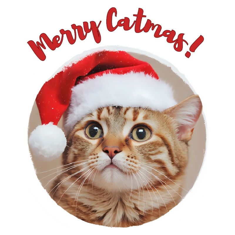 Fröhliche Catmas!