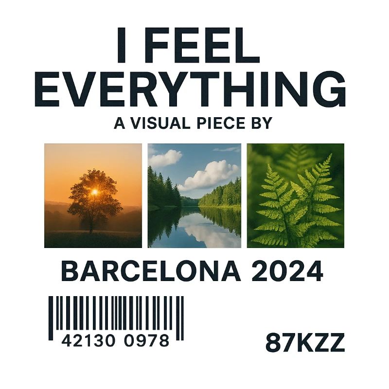 I Feel Everything: Visuelles Werk Barcelona