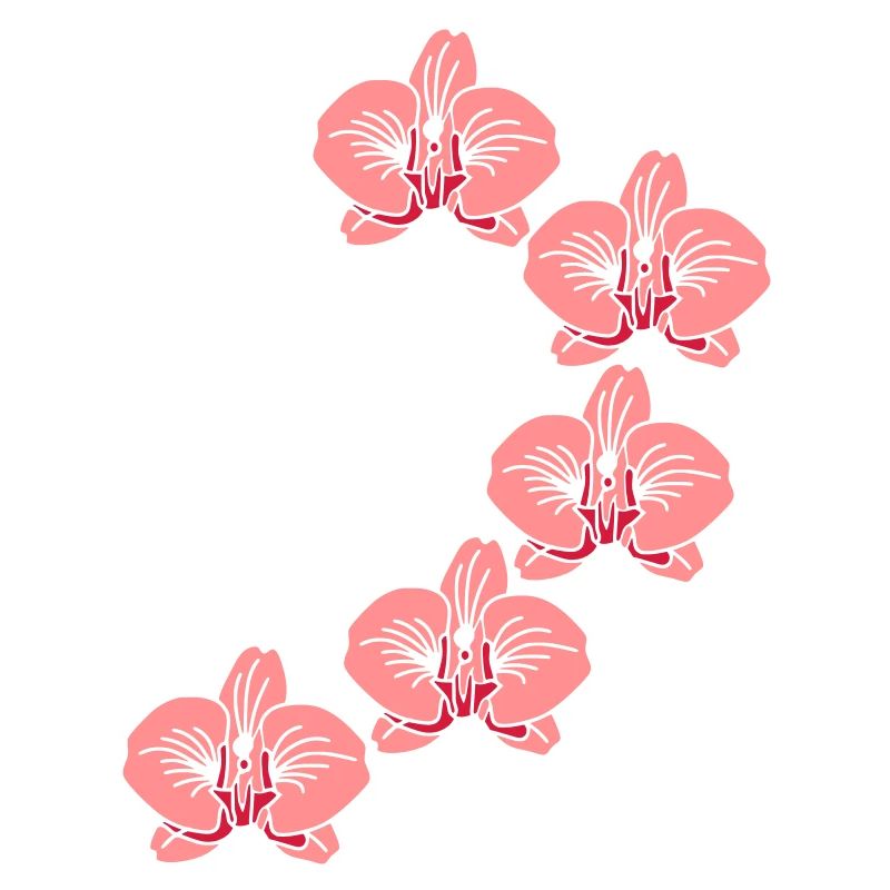 orchidee_2