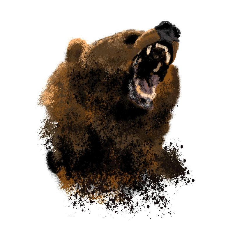 Bär
