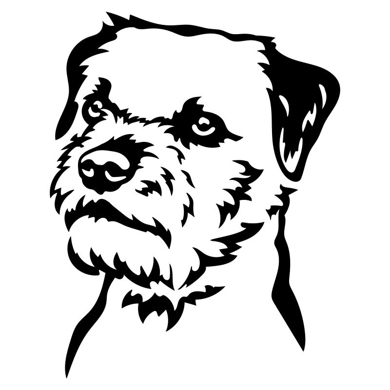 Border Terrier Head