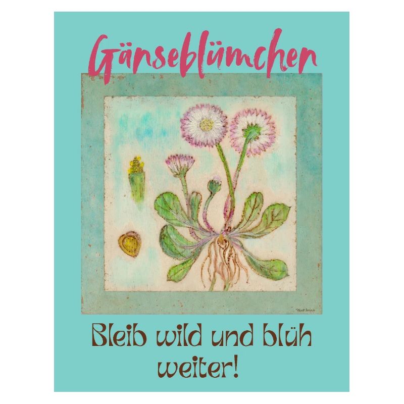 Gänseblümchen Wildblumen Print