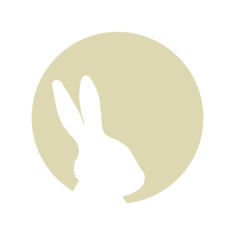 Bunny Moon Rabbit Bunny Easter