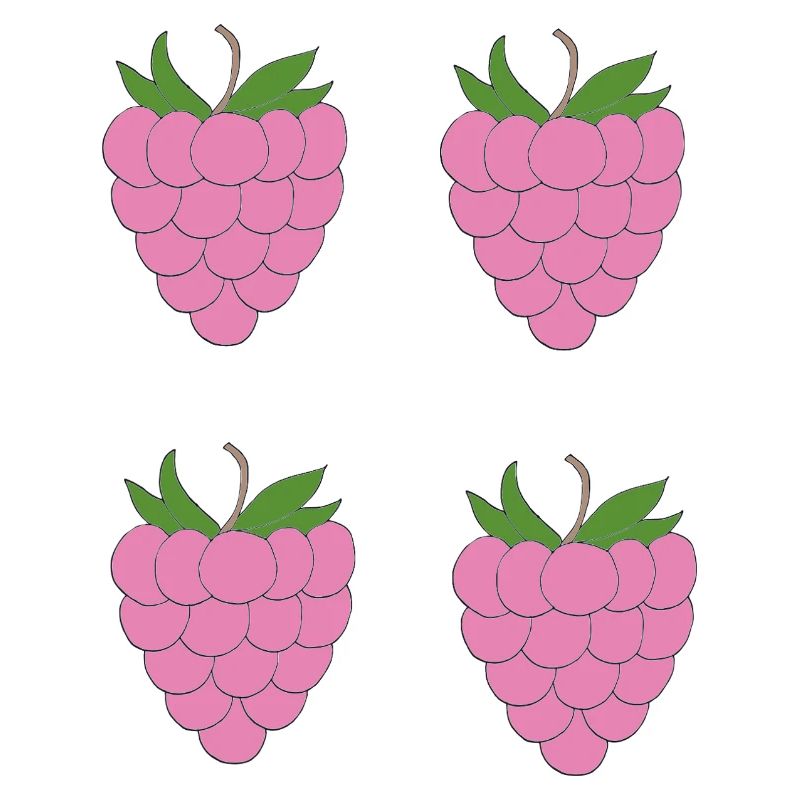 Motif de double grappe de framboise