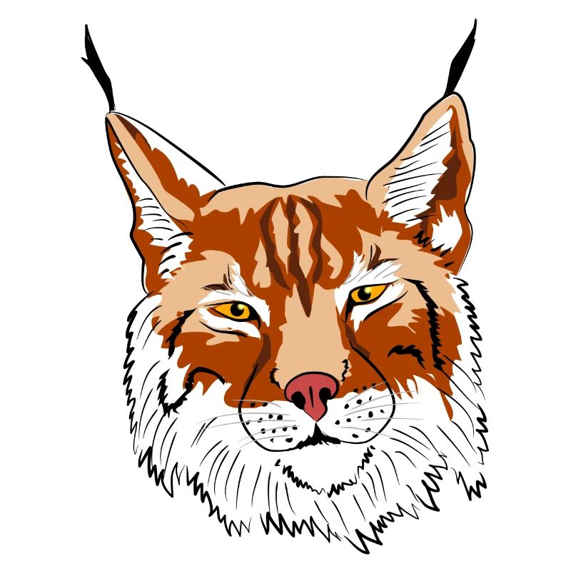 luchs raubtier raubkatze
