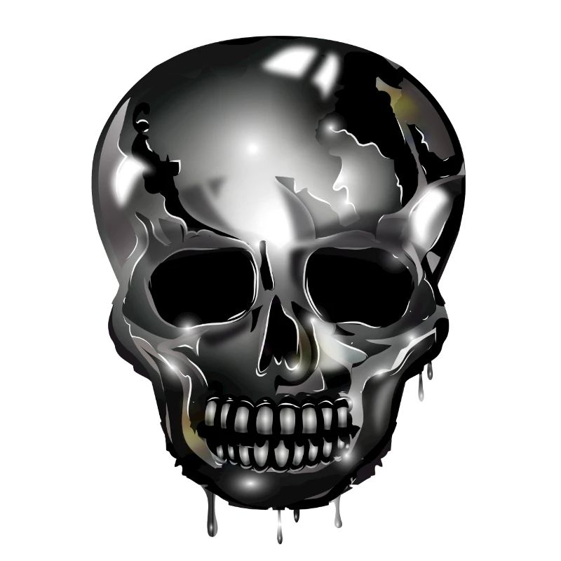 extravagant skull colored in chrome look
