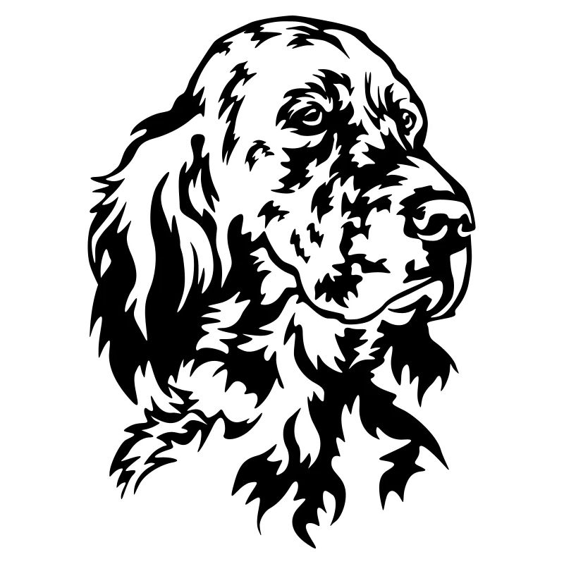 Englischer Setter Kopf