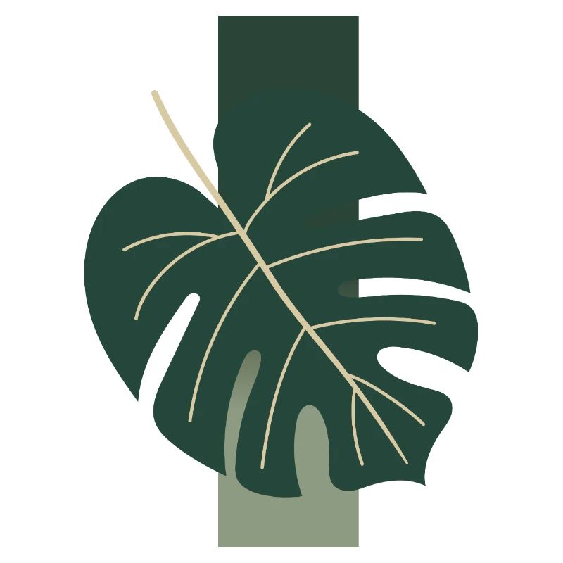 Monstera Leaf Minimal Tropical Boho Aesthetic Appa