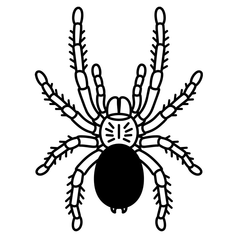 Tarentule Tarentule