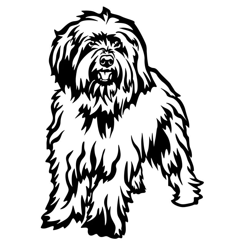 Caniche de mouton