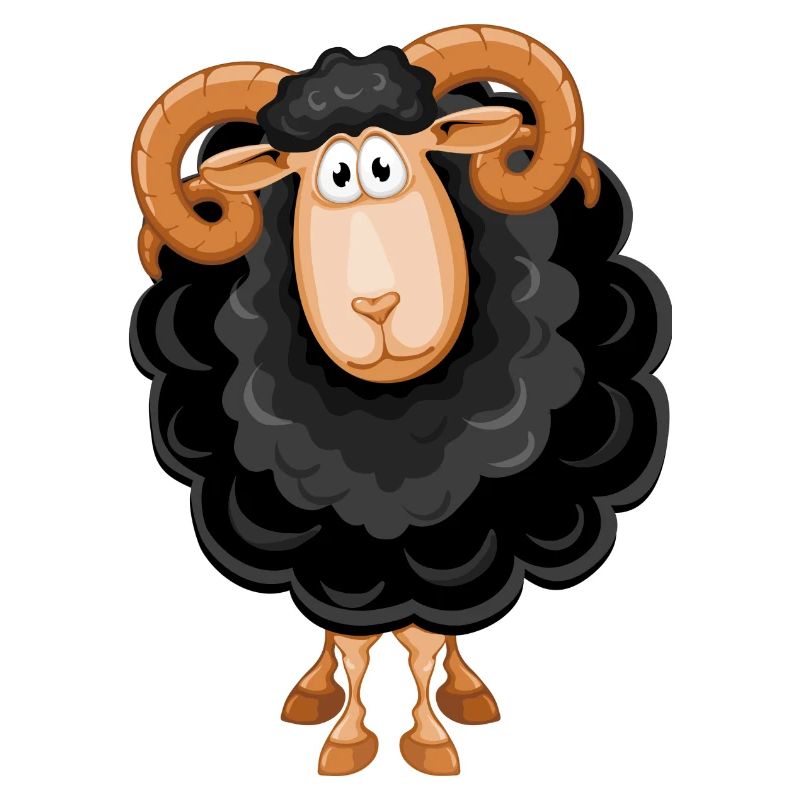 Sheep, Black Sheep, Sheep Humor