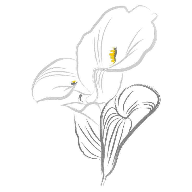 CALLA JAUNE-GRIS
