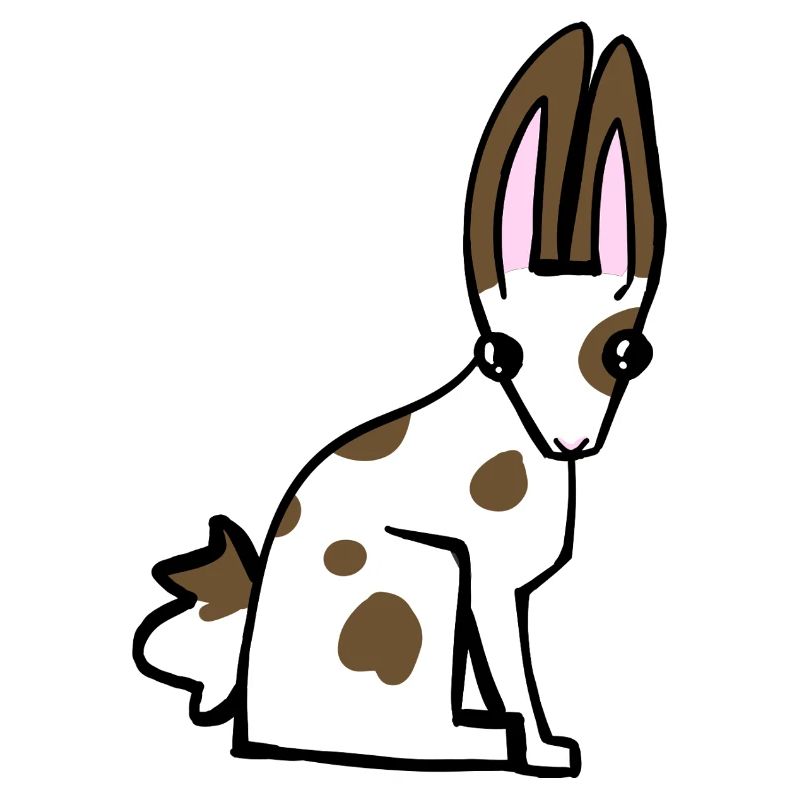 Lapin tacheté