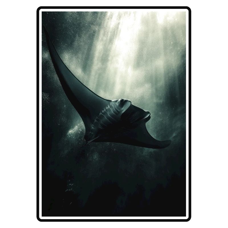 Rochen Mantarochen