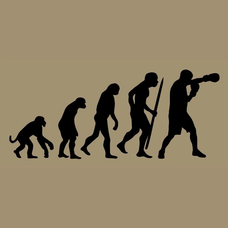 Evolution de la boxe