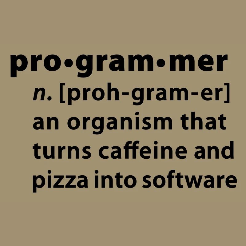 Program definition - the definition Programmer