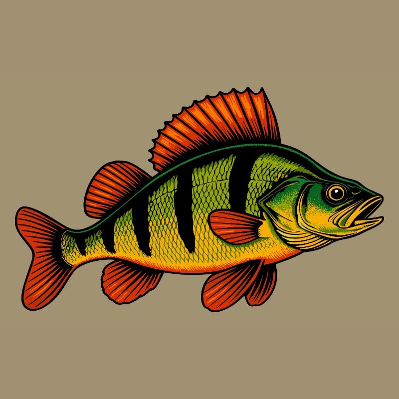 Perche Perche Perche Perche Perche Pêche Perche Perche