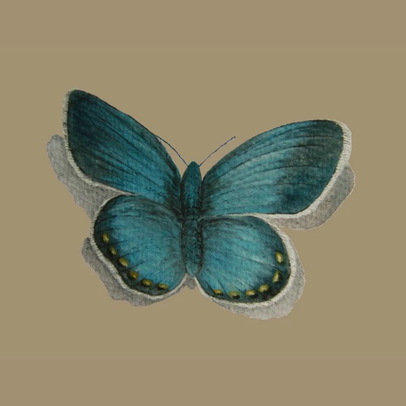 papillon