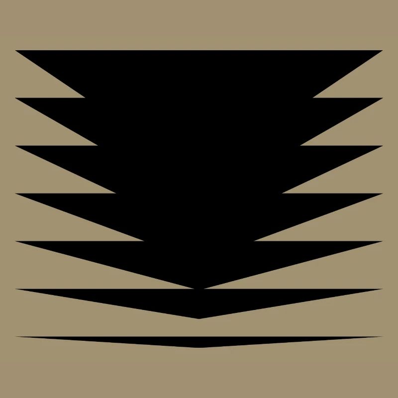 Black triangles design