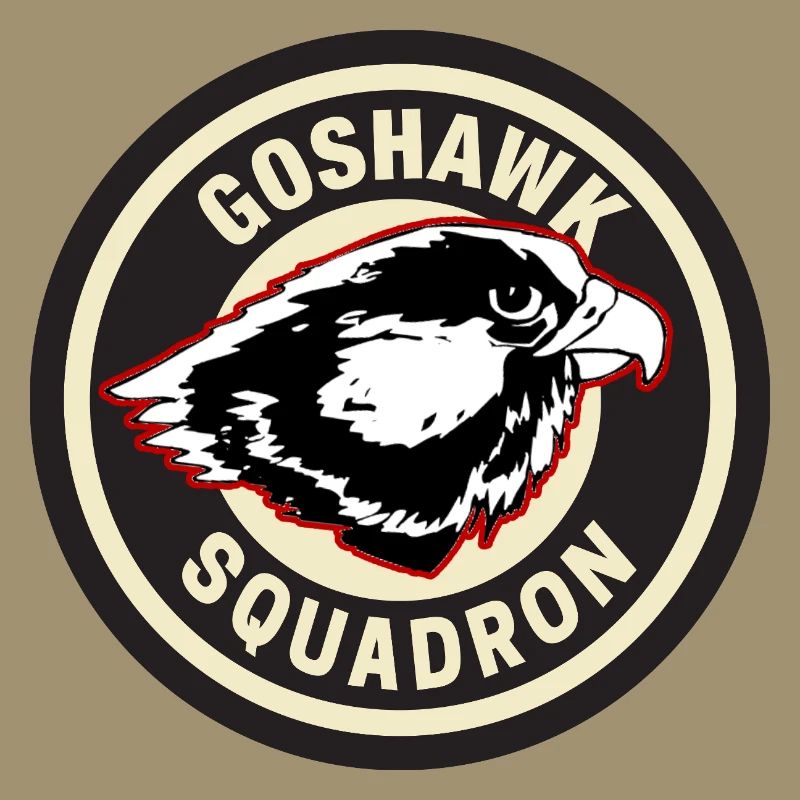 Conception de l’insigne de l’escadron Goshawk