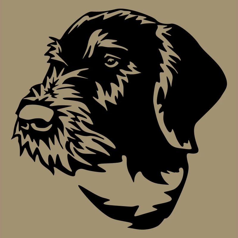German Wirehaired Pointer