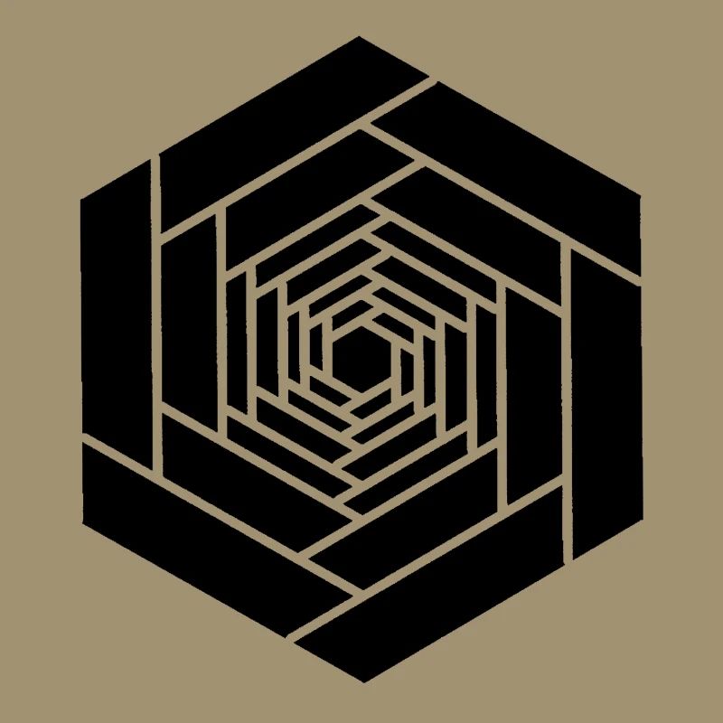 Hexagone infini noir fleur